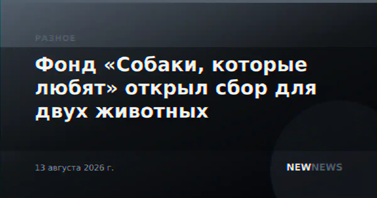 Фонд «Собаки, которые любят» открыл сбор для двух животных