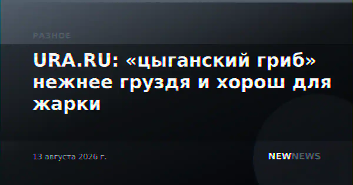 URA.RU: «цыганский гриб» нежнее груздя и хорош для жарки