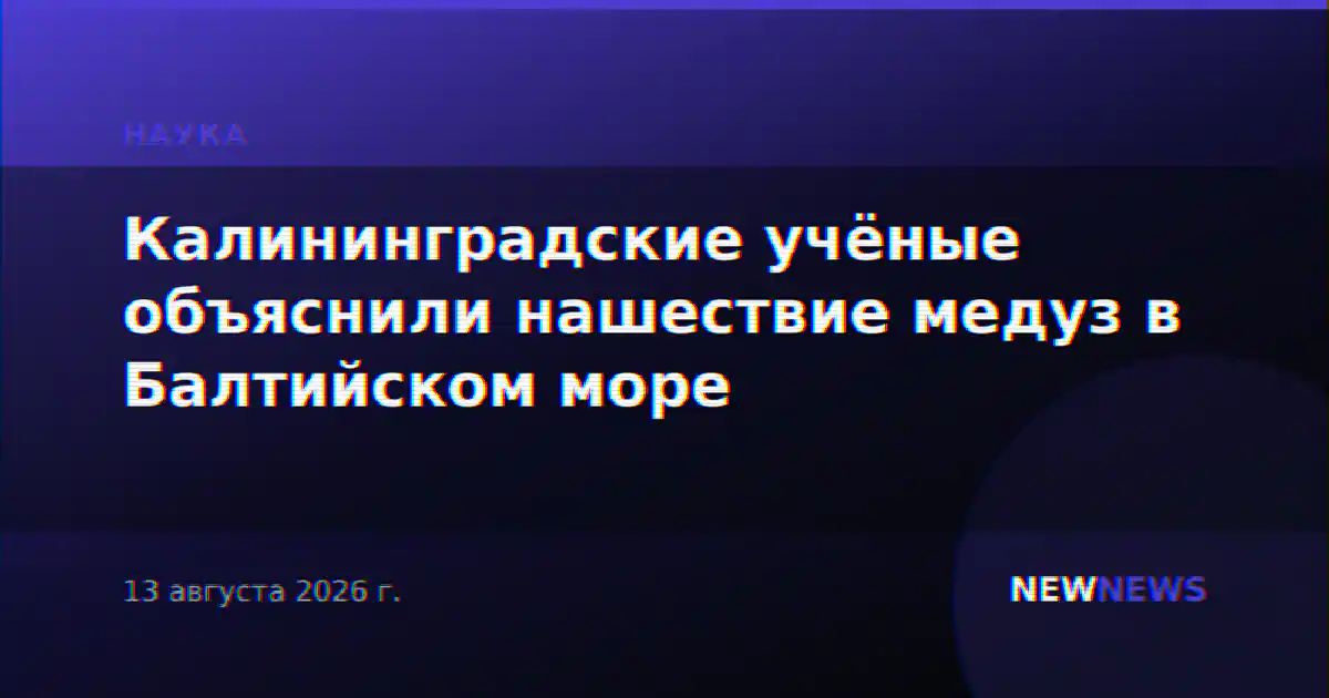 Калининградские учёные объяснили нашествие медуз в Балтийском море