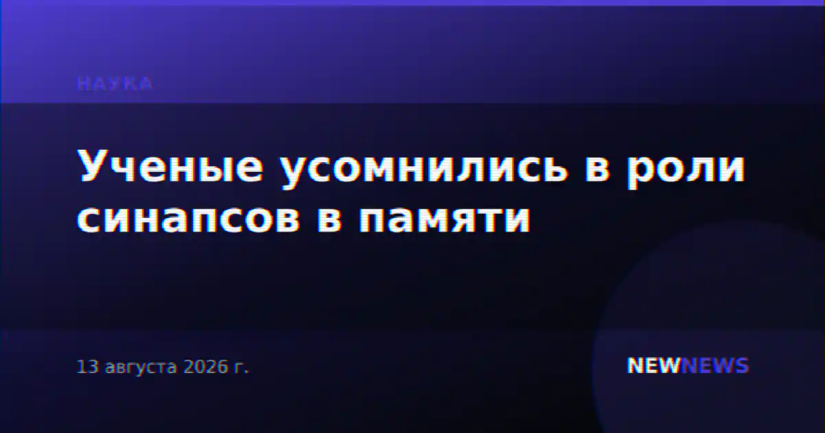 Ученые усомнились в роли синапсов в памяти