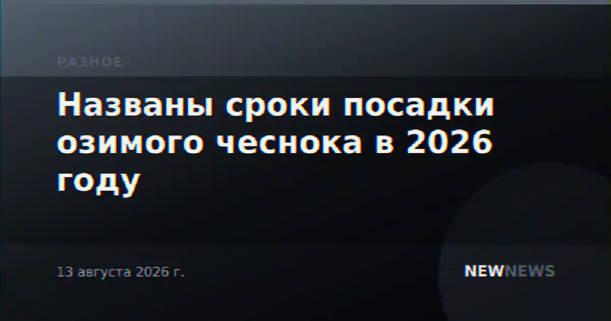 Названы сроки посадки озимого чеснока в 2026 году