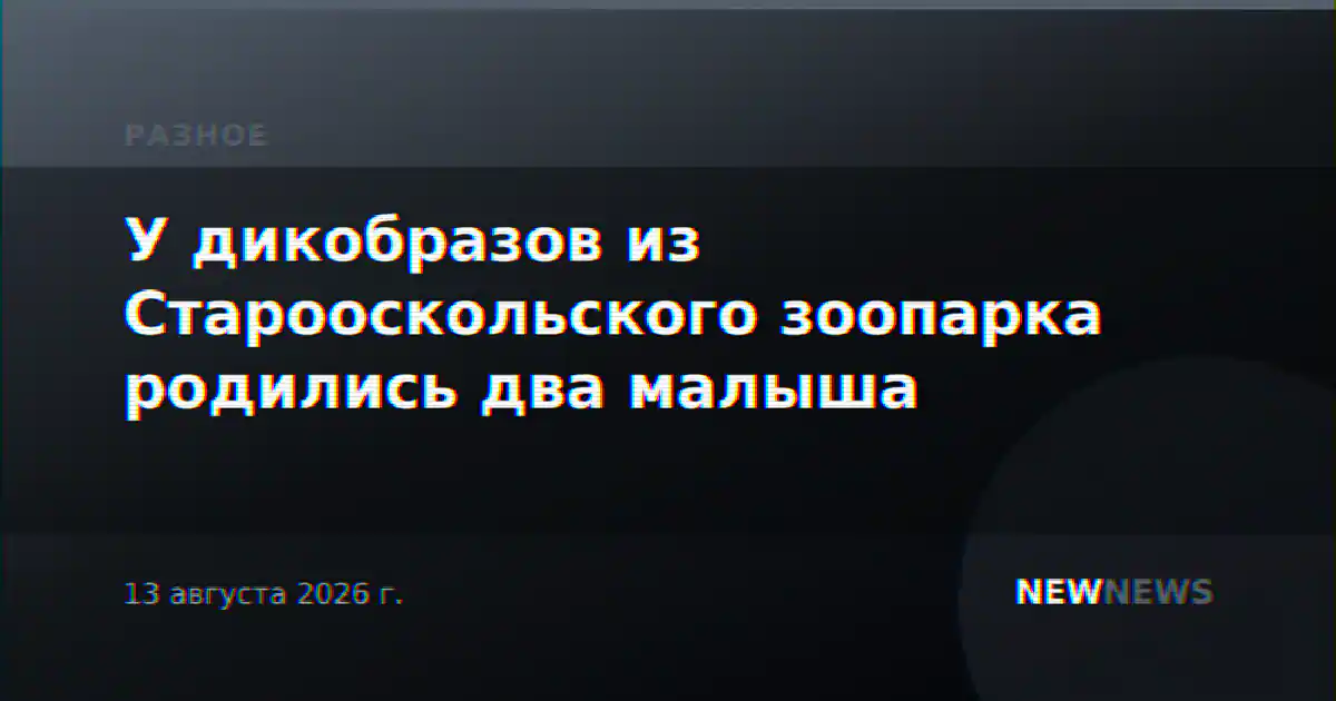 У дикобразов из Старооскольского зоопарка родились два малыша