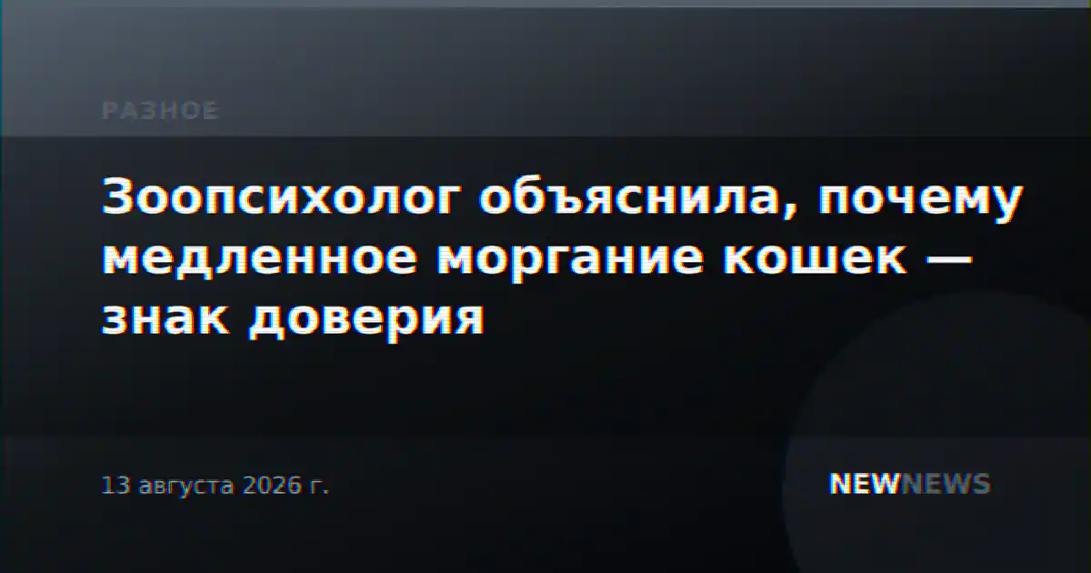 Зоопсихолог объяснила, почему медленное моргание кошек — знак доверия