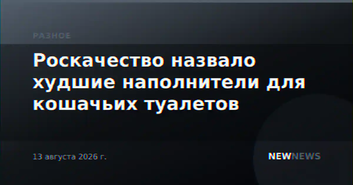 Роскачество назвало худшие наполнители для кошачьих туалетов