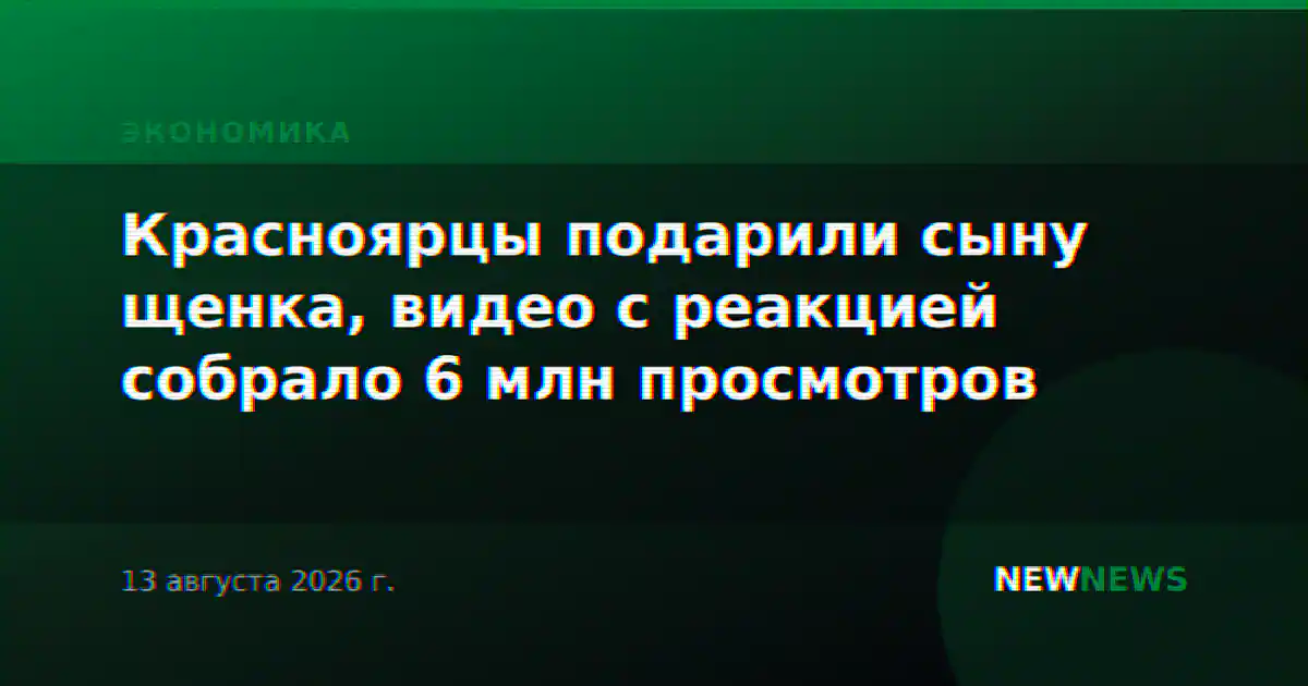 Красноярцы подарили сыну щенка, видео с реакцией собрало 6 млн просмотров