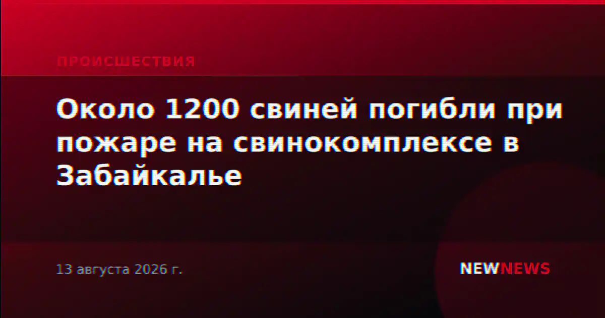 Около 1200 свиней погибли при пожаре на свинокомплексе в Забайкалье
