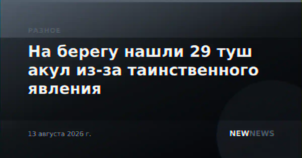 На берегу нашли 29 туш акул из-за таинственного явления