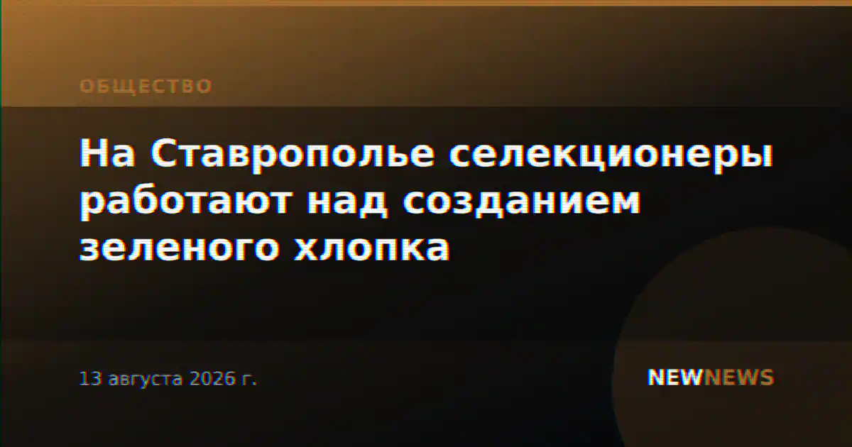 На Ставрополье селекционеры работают над созданием зеленого хлопка