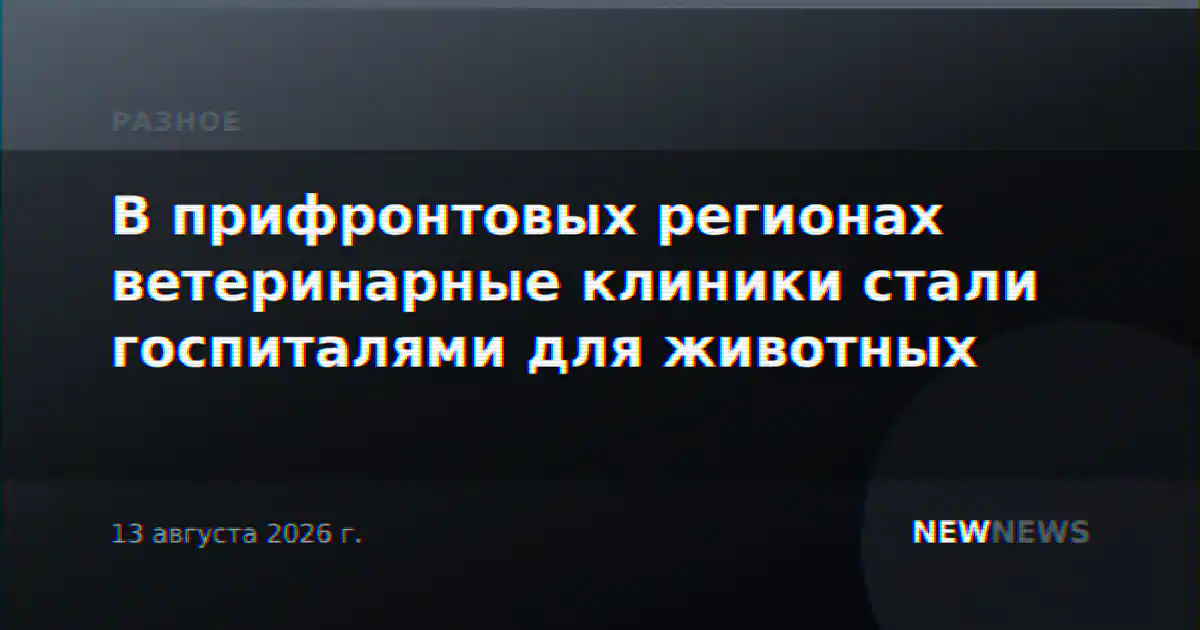 В прифронтовых регионах ветеринарные клиники стали госпиталями для животных