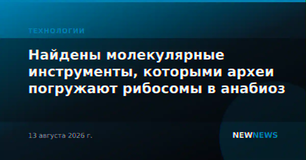 Найдены молекулярные инструменты, которыми археи погружают рибосомы в анабиоз