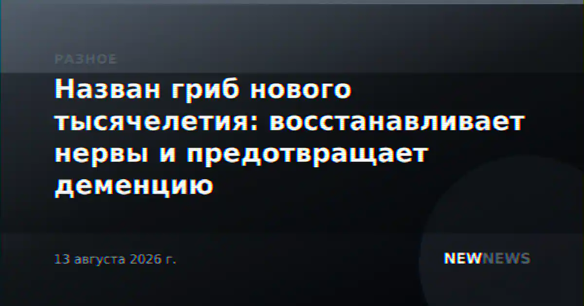 Назван гриб нового тысячелетия: восстанавливает нервы и предотвращает деменцию