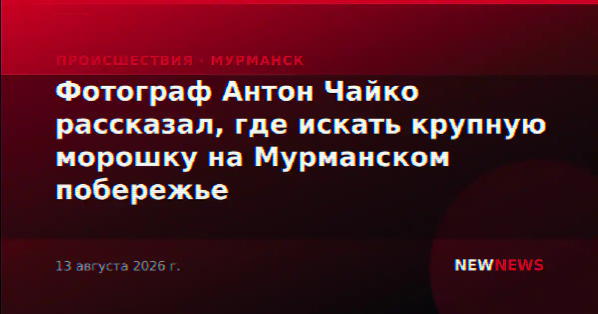 Фотограф Антон Чайко рассказал, где искать крупную морошку на Мурманском побережье