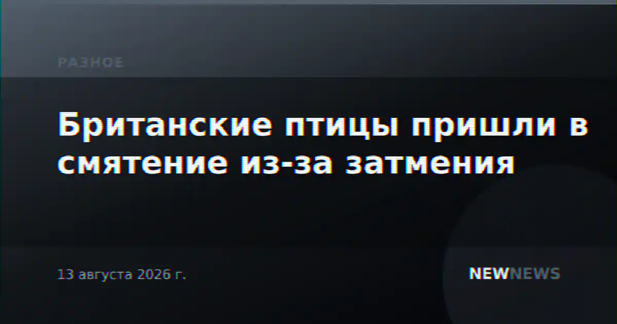 Британские птицы пришли в смятение из-за затмения