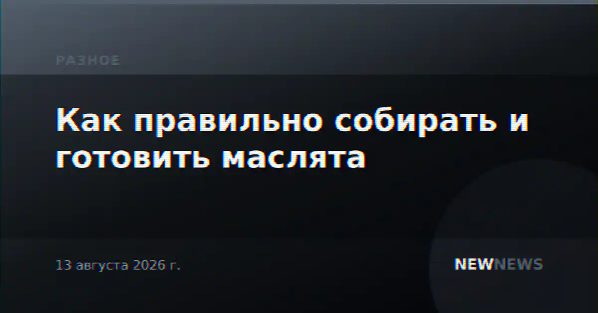 Как правильно собирать и готовить маслята
