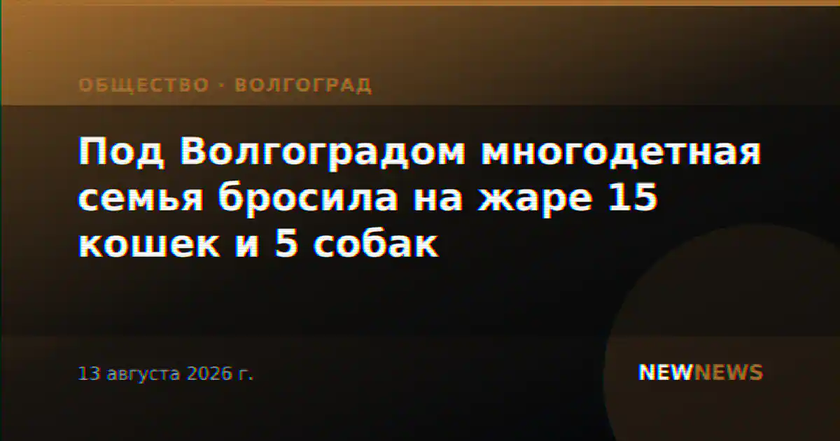 Под Волгоградом многодетная семья бросила на жаре 15 кошек и 5 собак