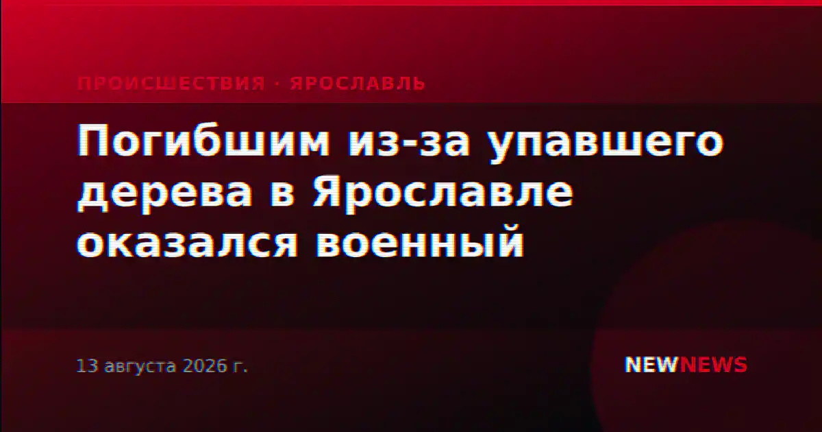 Погибшим из-за упавшего дерева в Ярославле оказался военный