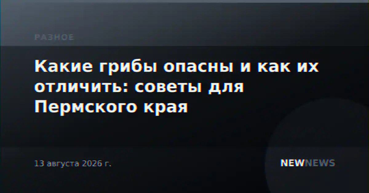 Какие грибы опасны и как их отличить: советы для Пермского края