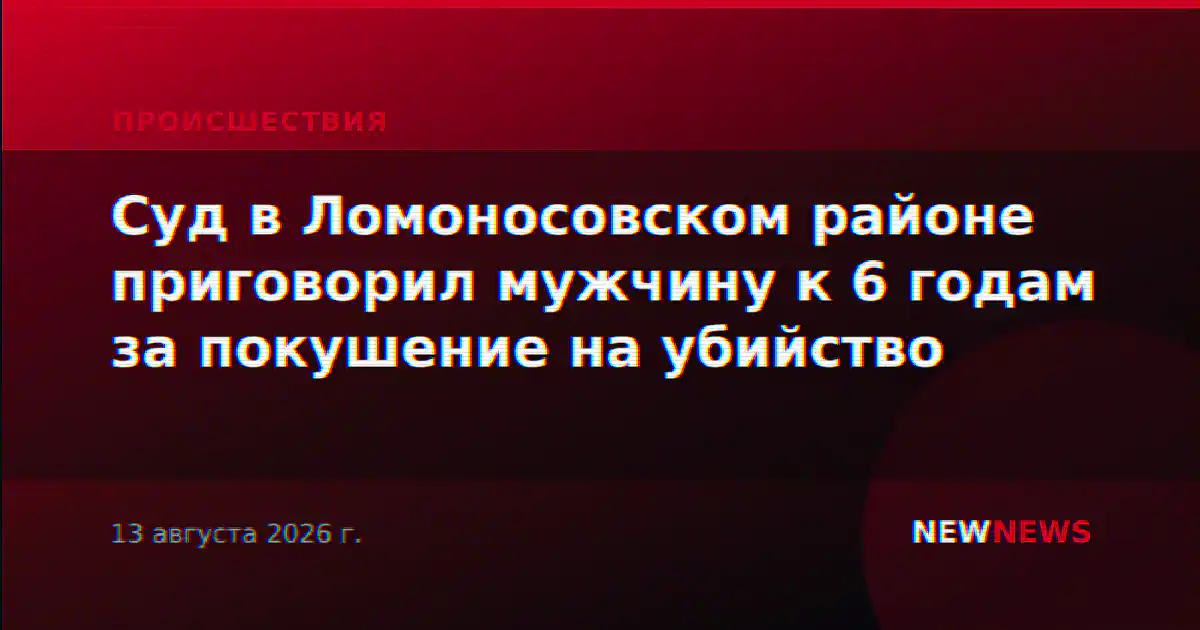 Суд в Ломоносовском районе приговорил мужчину к 6 годам за покушение на убийство