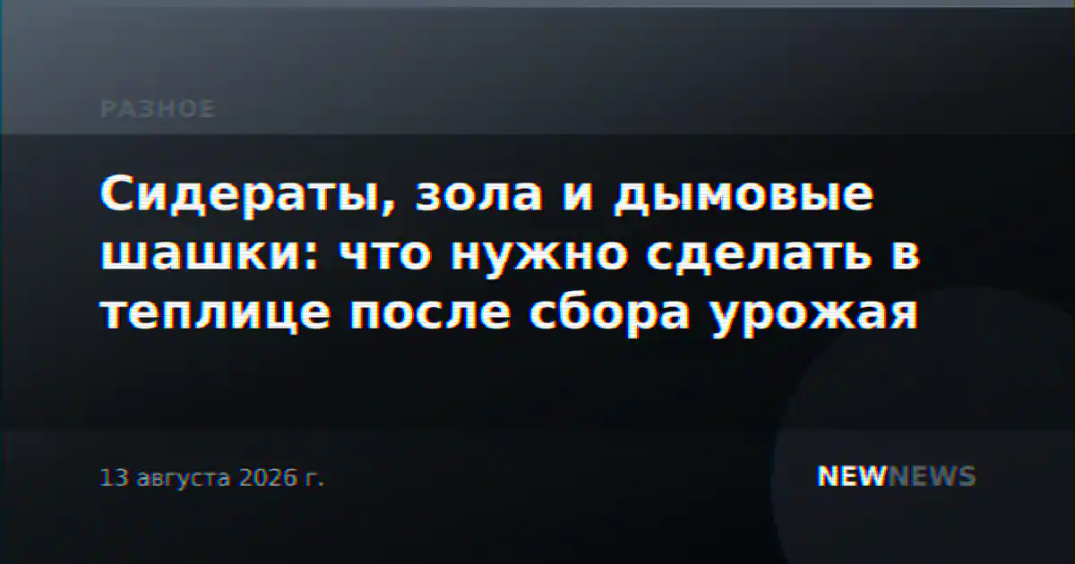 Сидераты, зола и дымовые шашки: что нужно сделать в теплице после сбора урожая