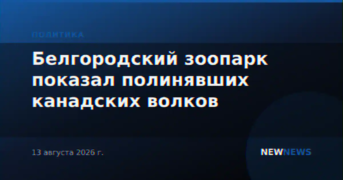 Белгородский зоопарк показал полинявших канадских волков