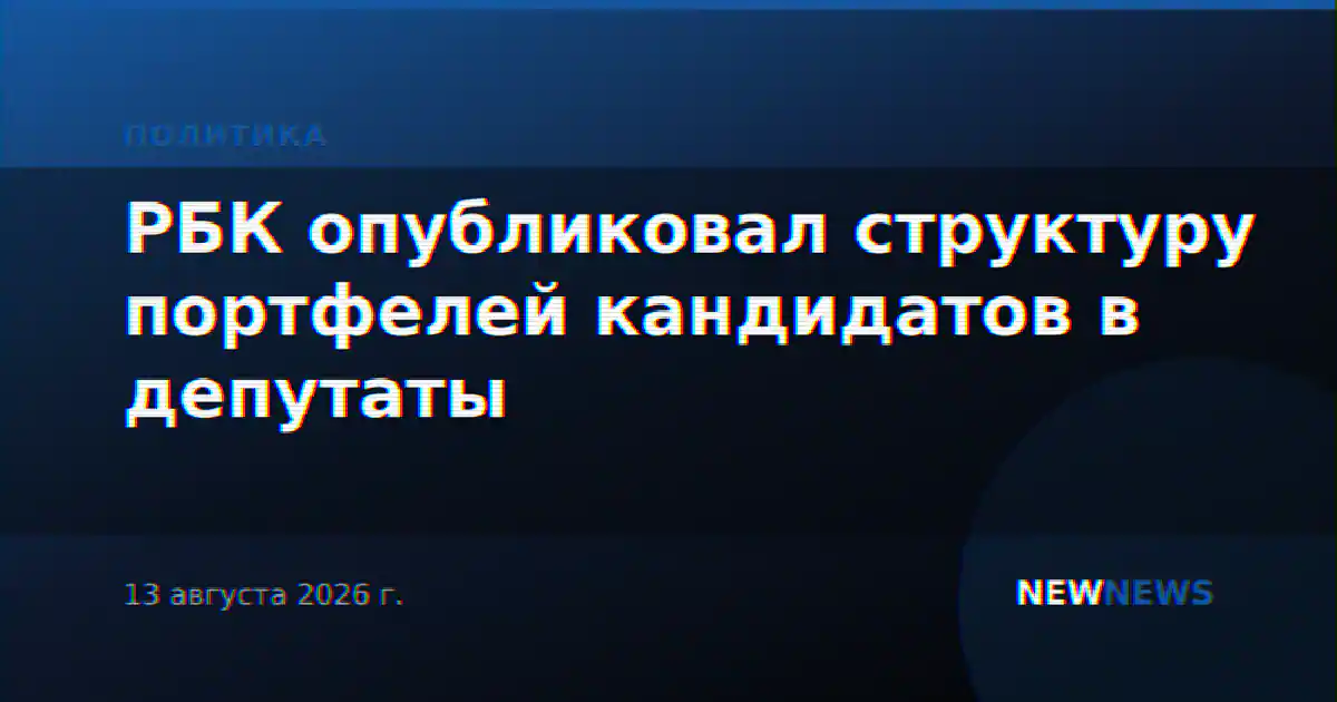 РБК опубликовал структуру портфелей кандидатов в депутаты