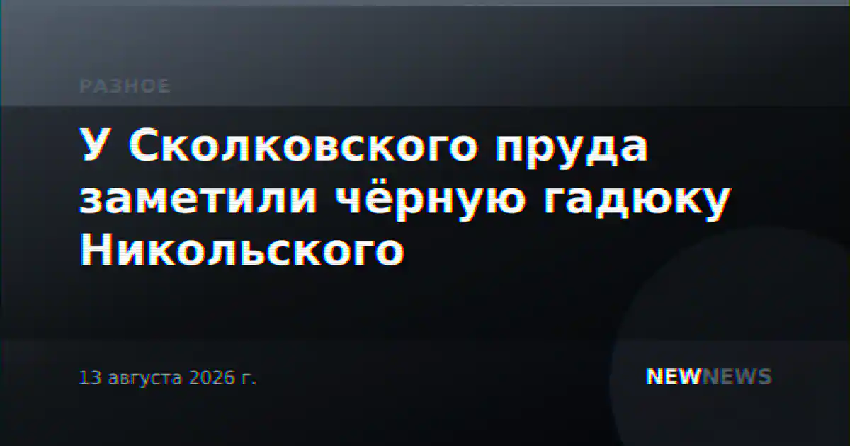 У Сколковского пруда заметили чёрную гадюку Никольского