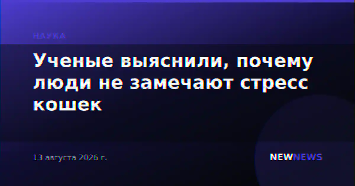 Ученые выяснили, почему люди не замечают стресс кошек