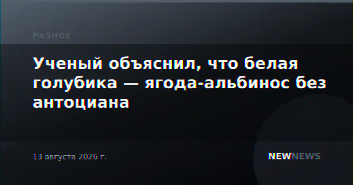 Ученый объяснил, что белая голубика — ягода-альбинос без антоциана
