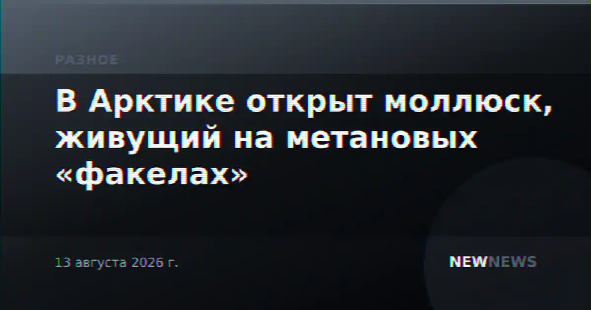 В Арктике открыт моллюск, живущий на метановых «факелах»