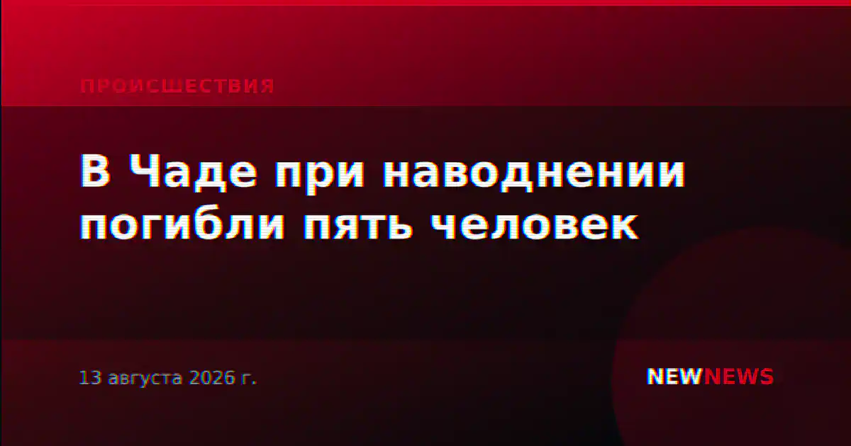 В Чаде при наводнении погибли пять человек