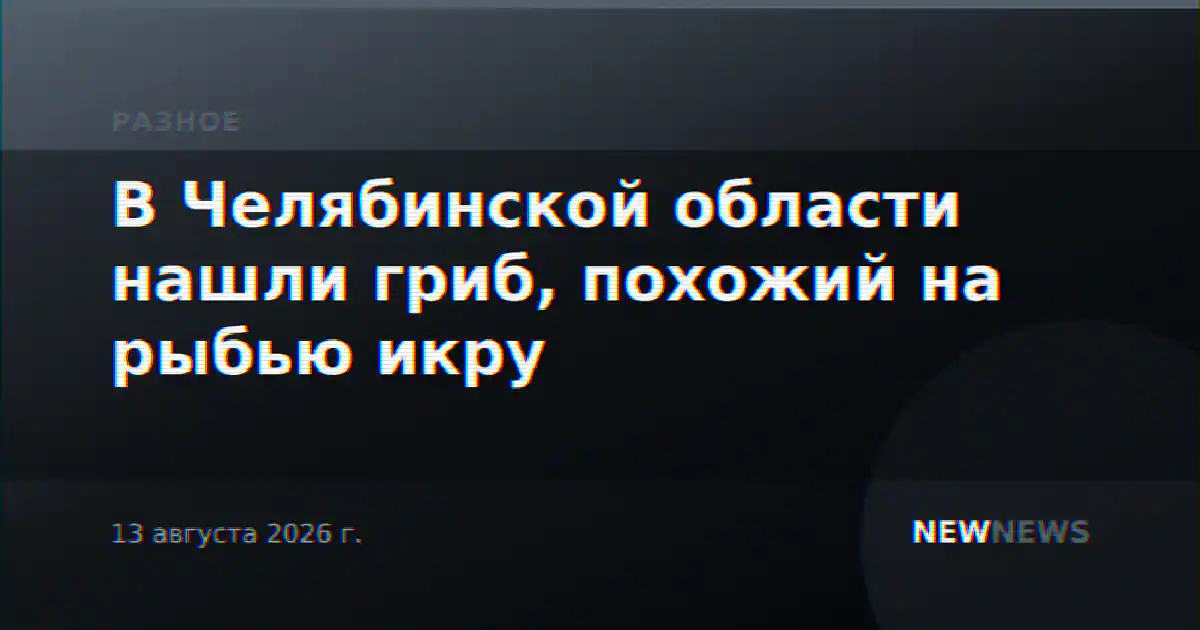 В Челябинской области нашли гриб, похожий на рыбью икру
