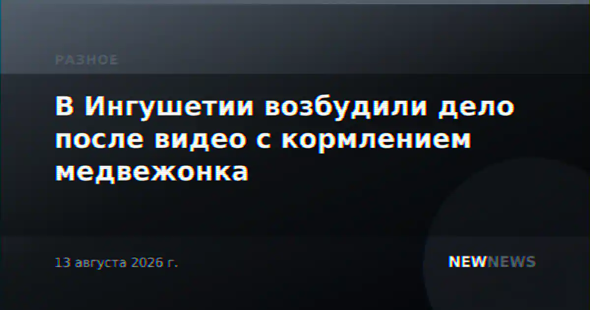 В Ингушетии возбудили дело после видео с кормлением медвежонка