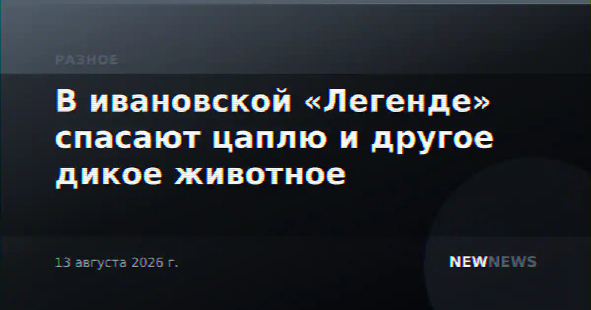 В ивановской «Легенде» спасают цаплю и другое дикое животное
