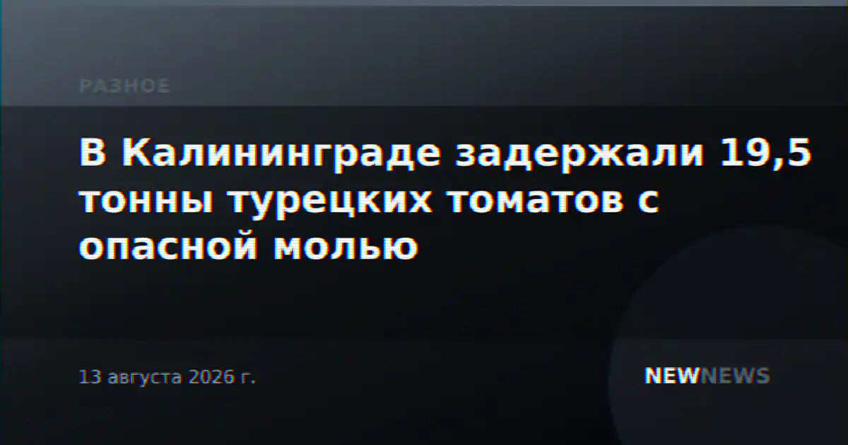 В Калининграде задержали 19,5 тонны турецких томатов с опасной молью