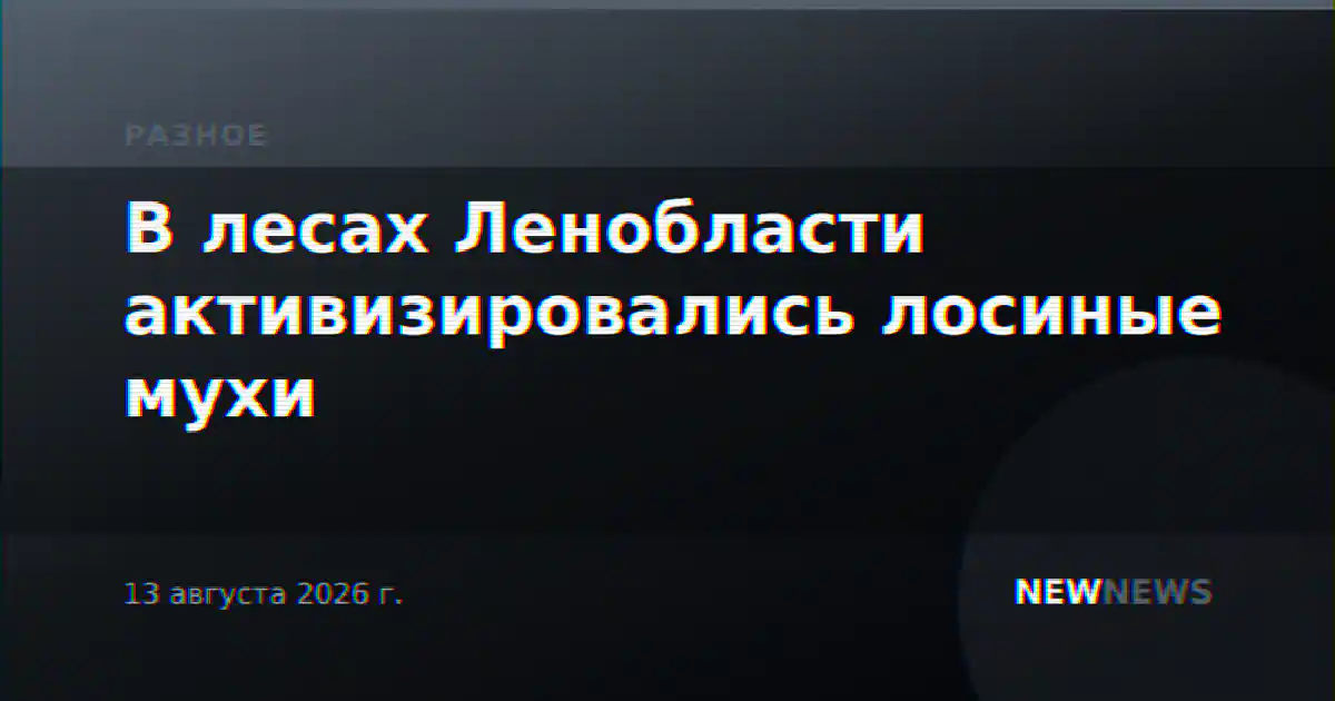 В лесах Ленобласти активизировались лосиные мухи
