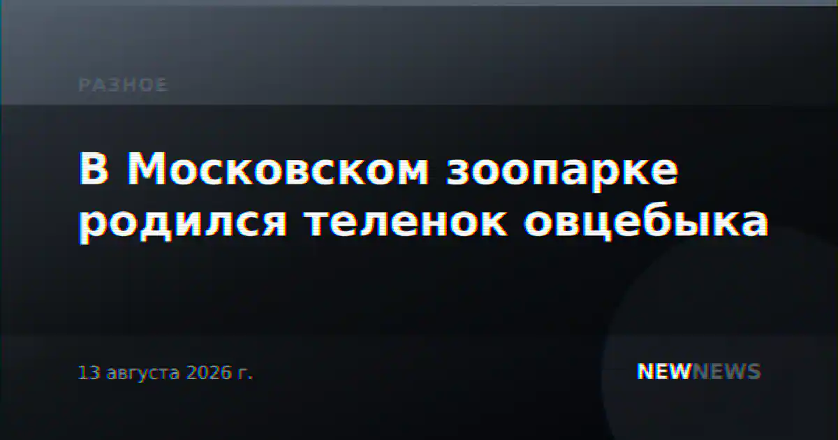 В Московском зоопарке родился теленок овцебыка