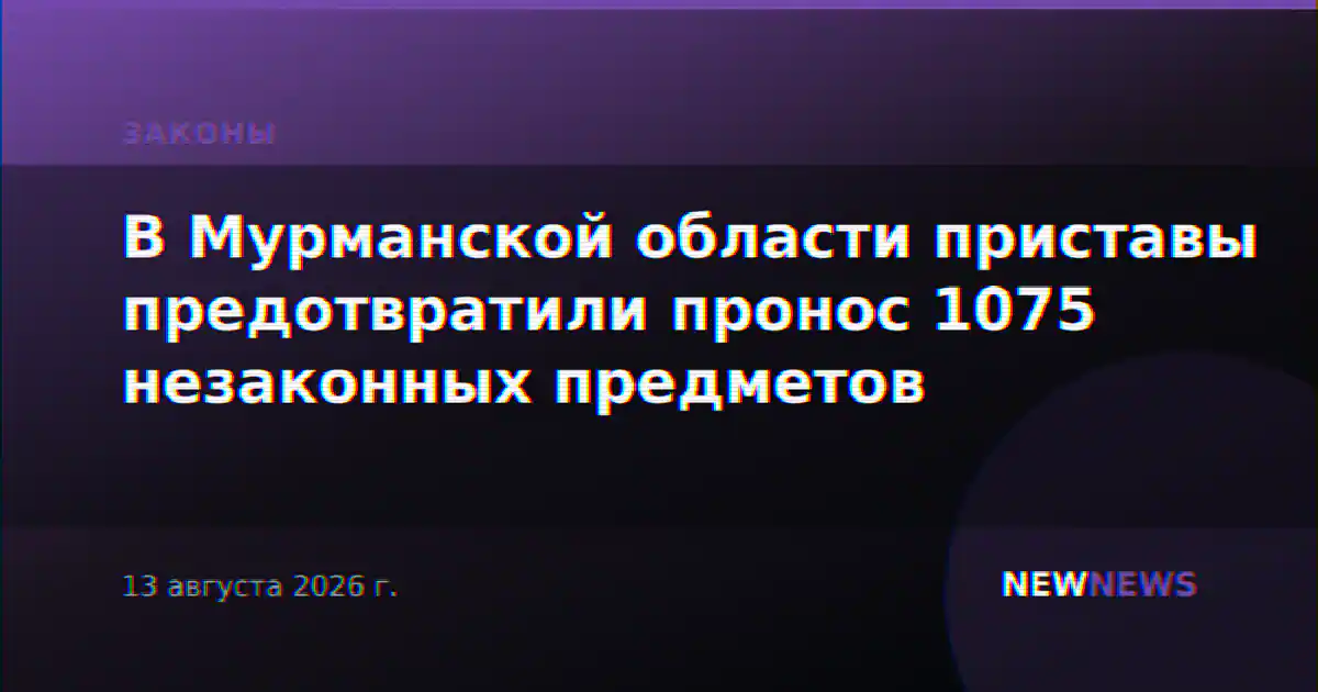 В Мурманской области приставы предотвратили пронос 1075 незаконных предметов
