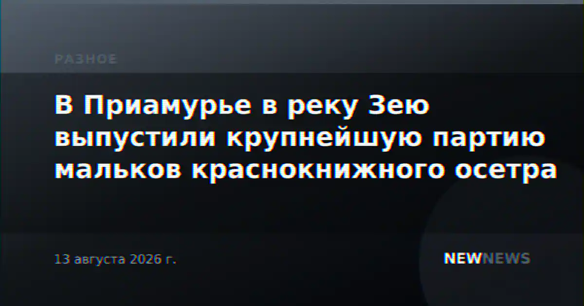 В Приамурье в реку Зею выпустили крупнейшую партию мальков краснокнижного осетра