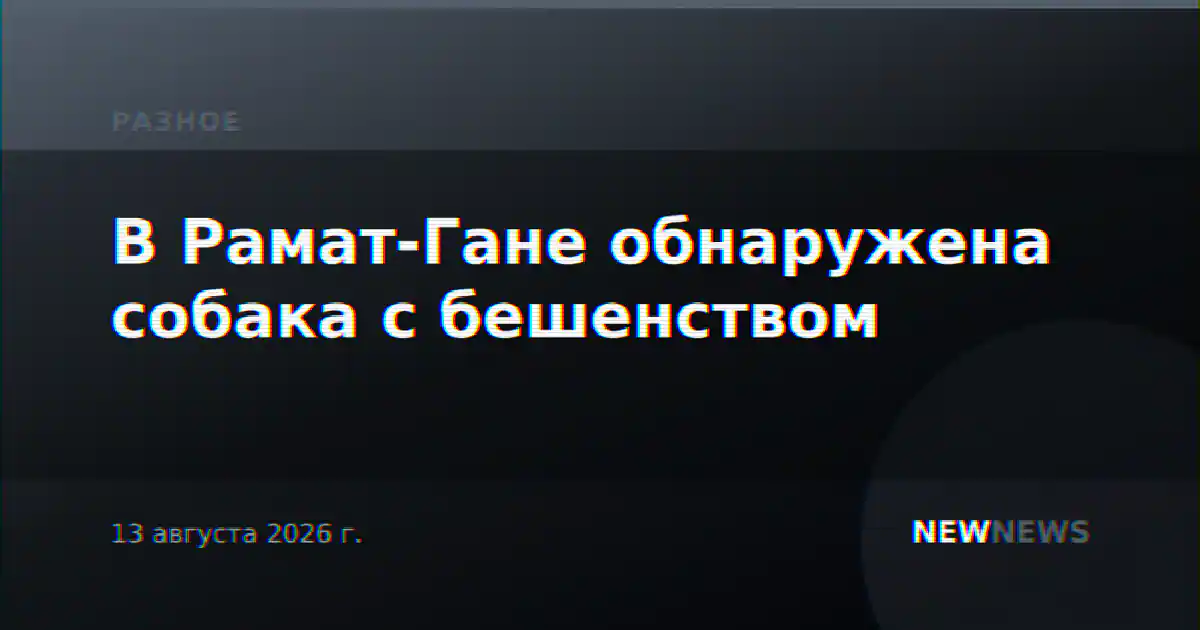 В Рамат-Гане обнаружена собака с бешенством