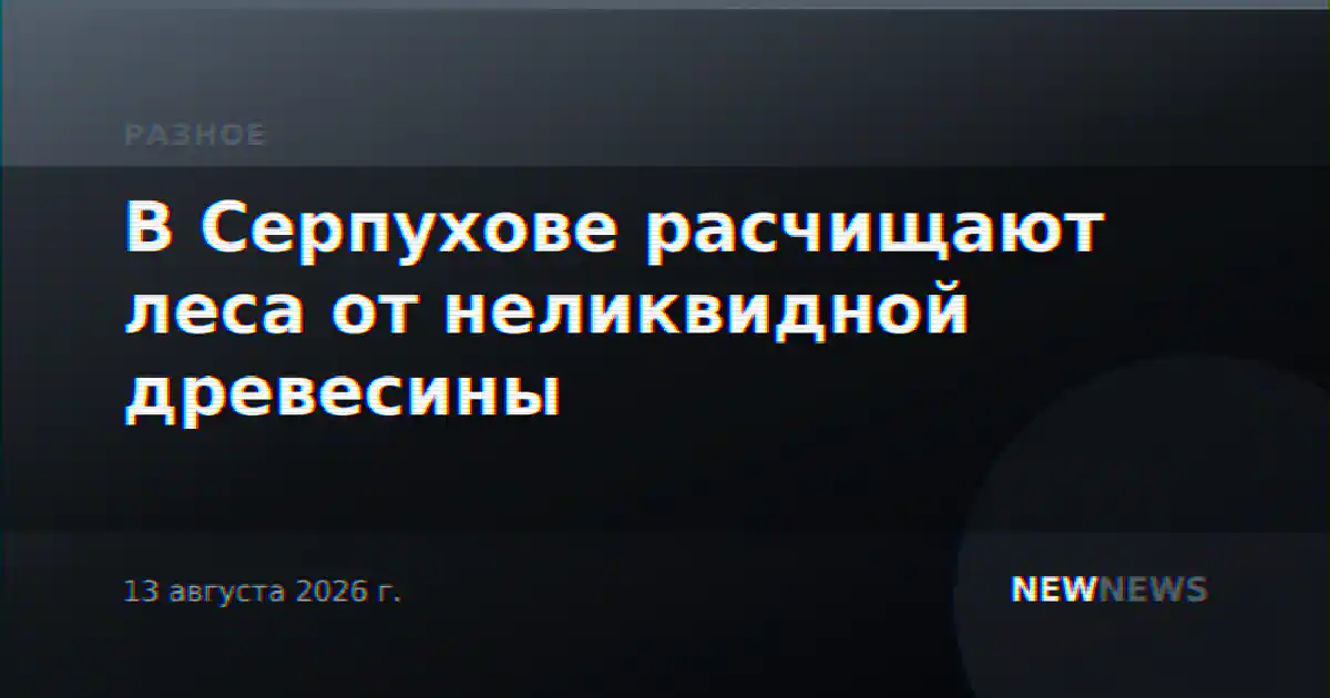 В Серпухове расчищают леса от неликвидной древесины