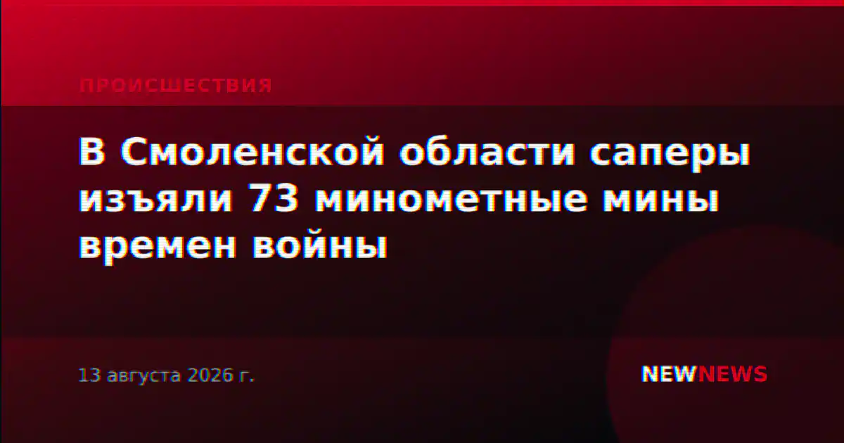 В Смоленской области саперы изъяли 73 минометные мины времен войны