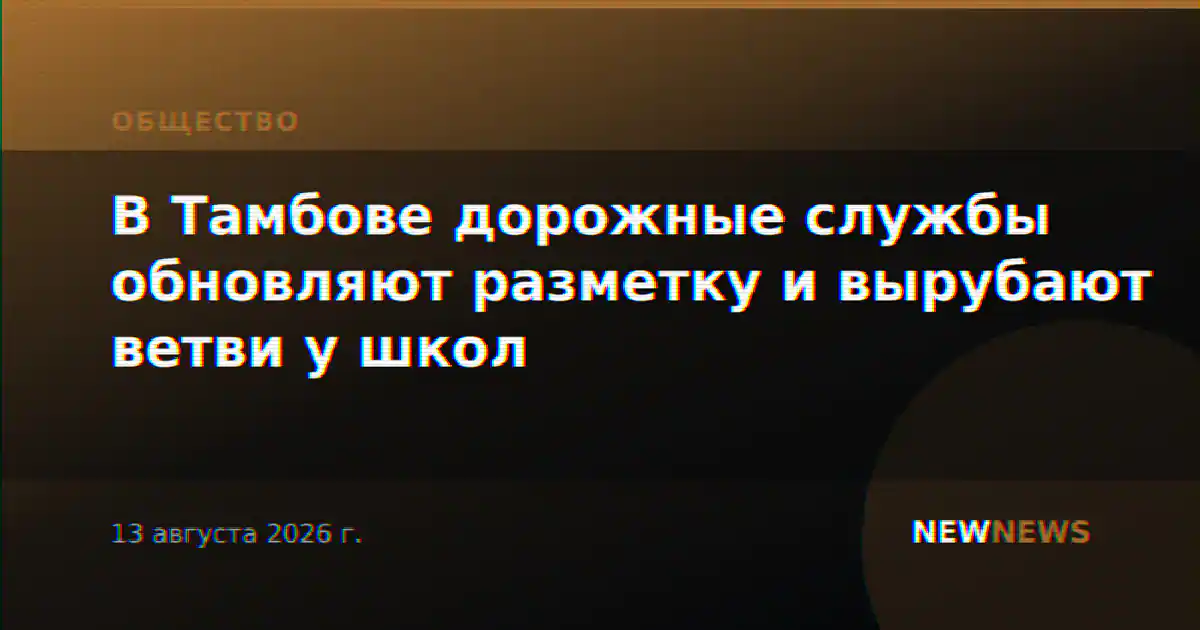 В Тамбове дорожные службы обновляют разметку и вырубают ветви у школ