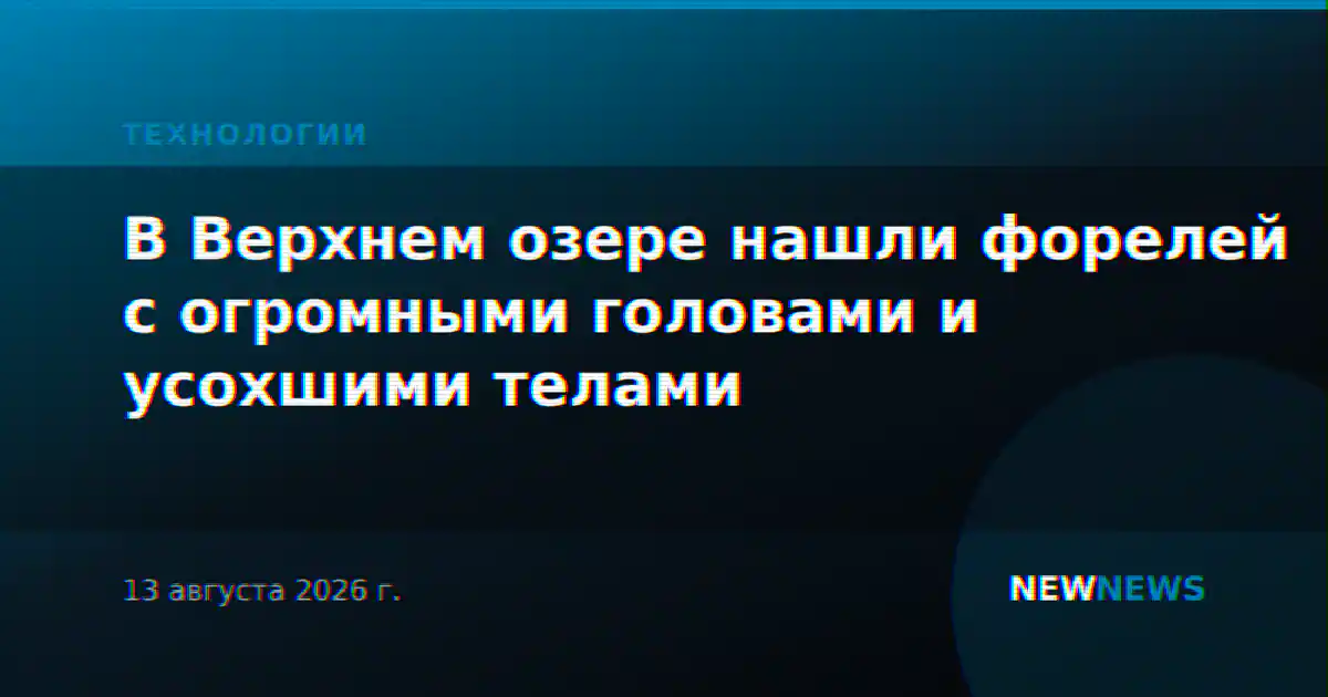 В Верхнем озере нашли форелей с огромными головами и усохшими телами