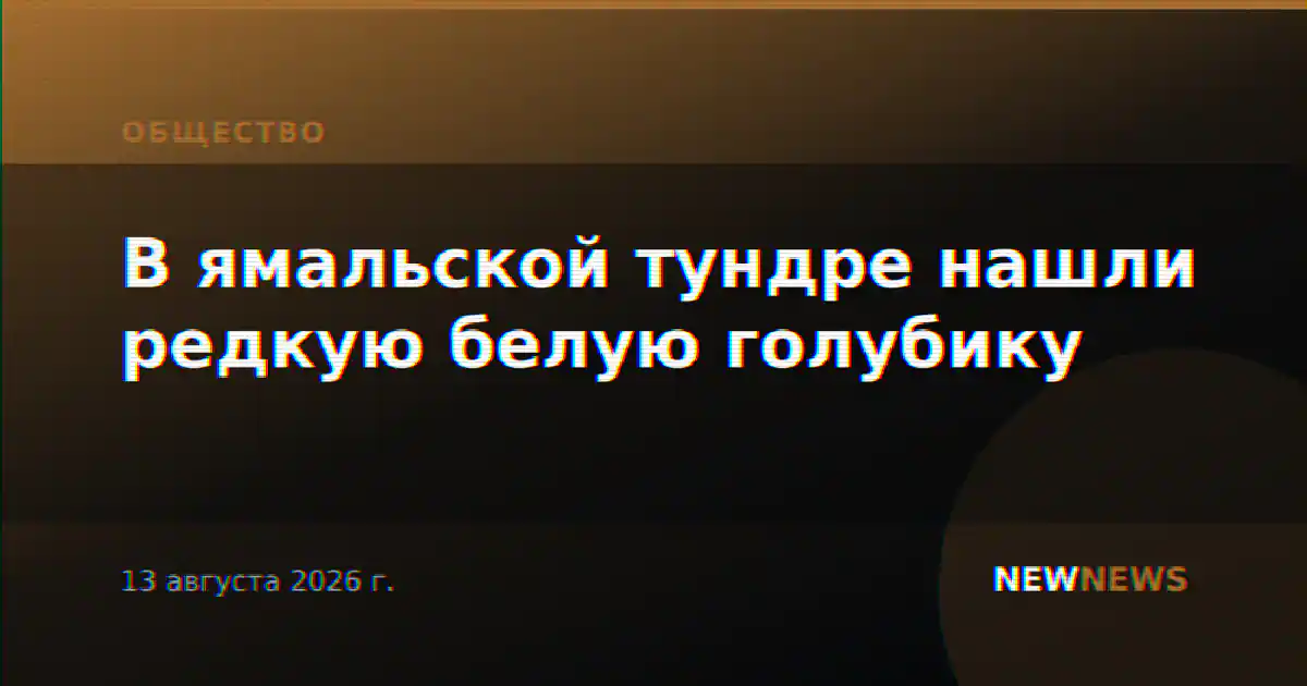 В ямальской тундре нашли редкую белую голубику