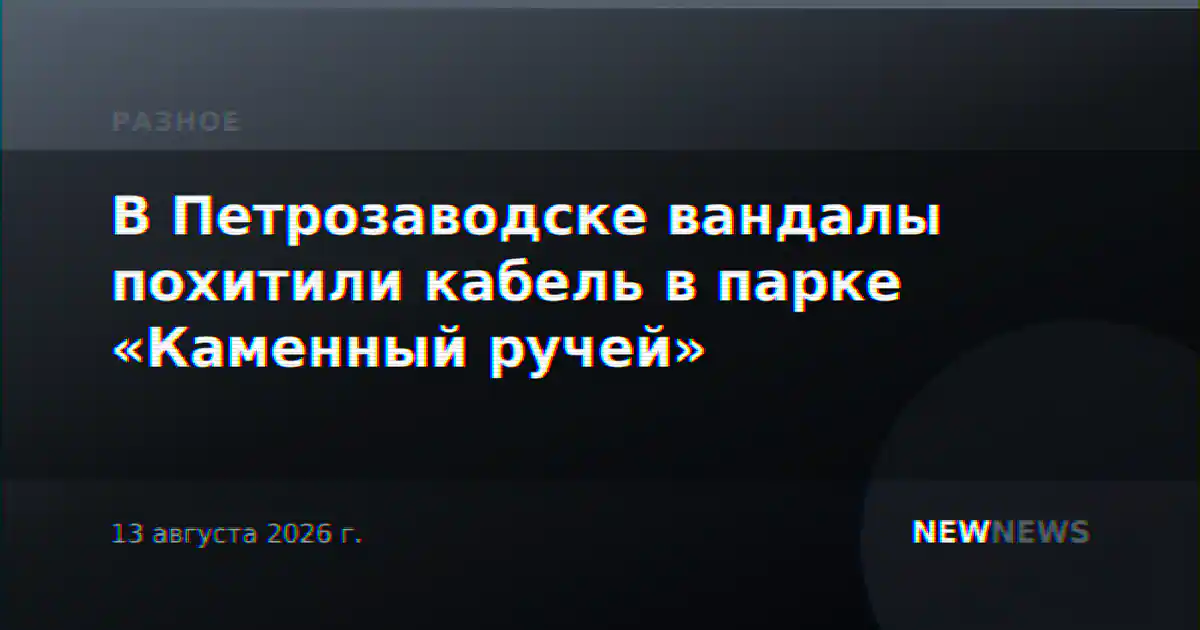 В Петрозаводске вандалы похитили кабель в парке «Каменный ручей»