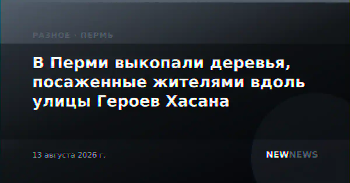 В Перми выкопали деревья, посаженные жителями вдоль улицы Героев Хасана