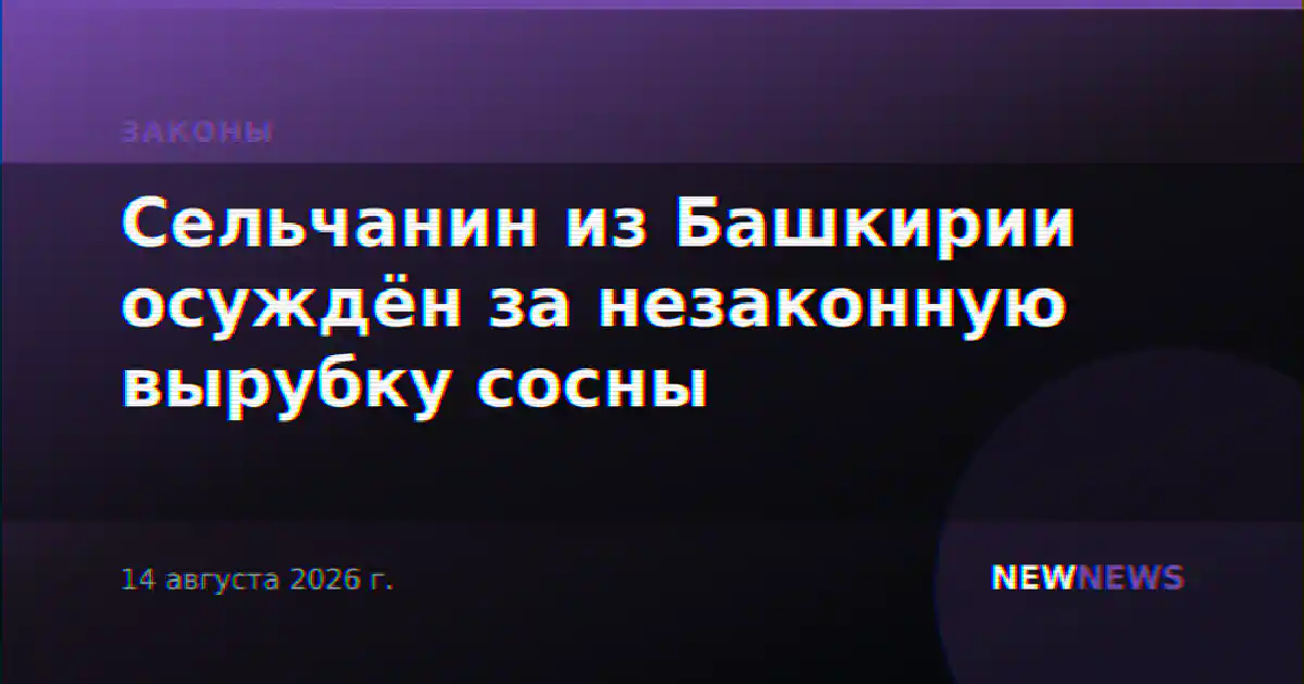 Сельчанин из Башкирии осуждён за незаконную вырубку сосны