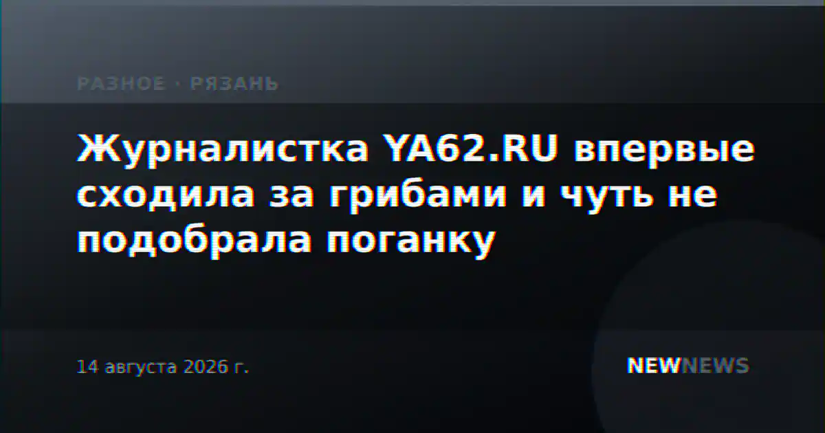 Журналистка YA62.RU впервые сходила за грибами и чуть не подобрала поганку