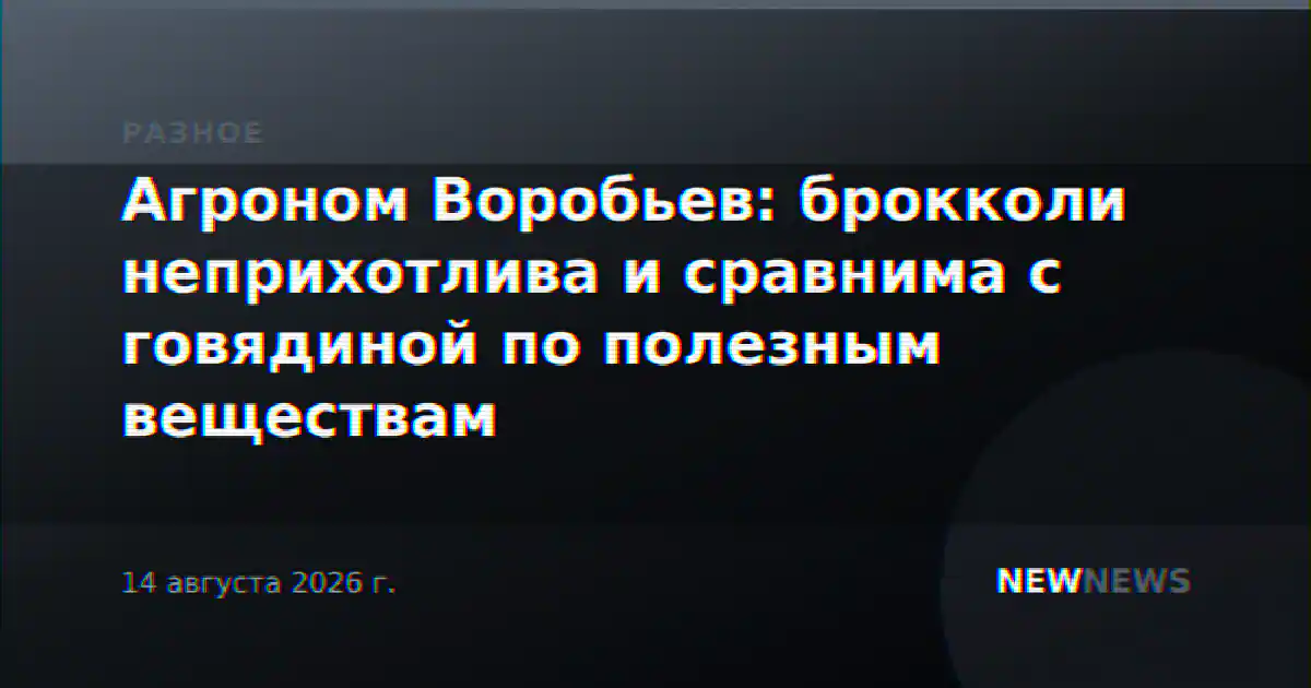 Агроном Воробьев: брокколи неприхотлива и сравнима с говядиной по полезным веществам