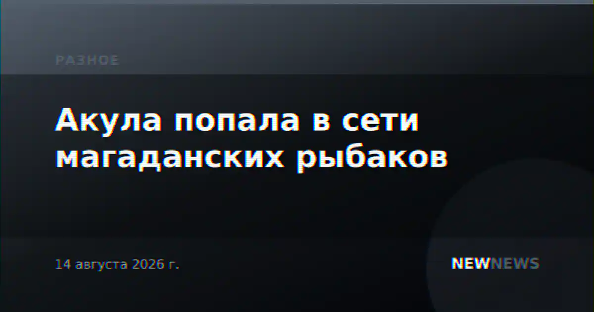 Акула попала в сети магаданских рыбаков